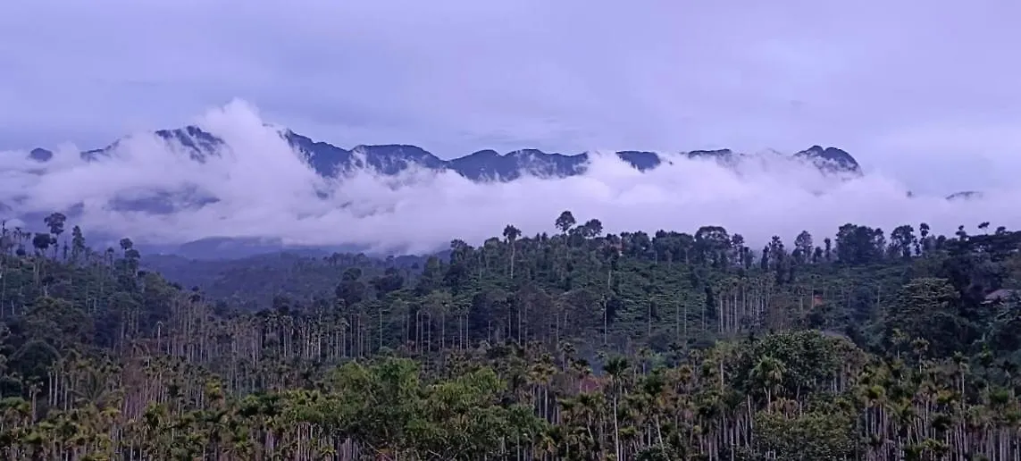 Guest house Sky Villa Wayanad Meppadi India